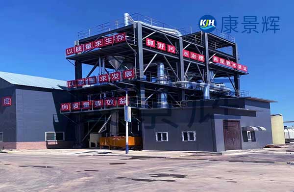 19t/h氯化鈉雙效MVR蒸發(fā)器
