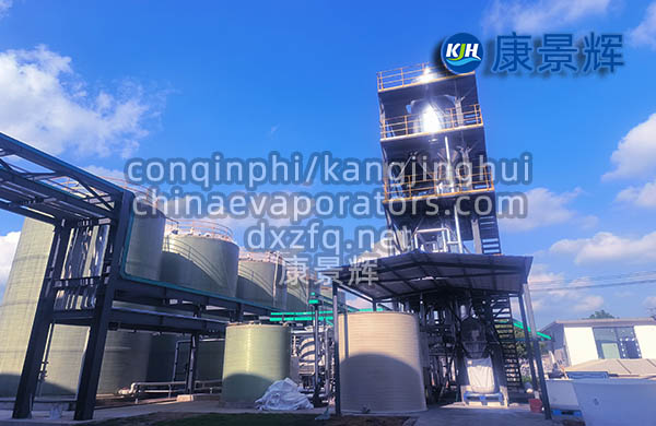 25t/h氯化鈉、氯化鋰MVR蒸發(fā)結(jié)晶器